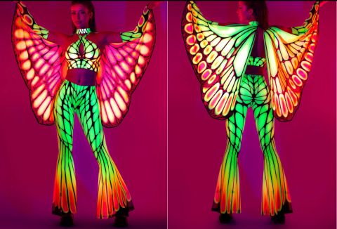 Papillon Wings bad050