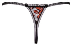 Luxury String 2322285 4