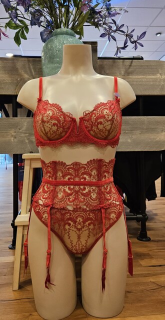 Nom de Plume Jarretel Gordel D46040