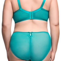 ZsaZsa Hi Cut Brief D21054 2