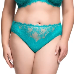ZsaZsa Hi Cut Brief D21054