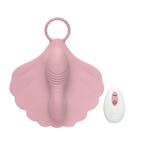 Coral INTY-02-001
