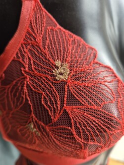 Honey Bees Bralette New York SK.S12X 2